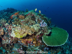 Gilli Mimpang, Bali by Stefan Follows 